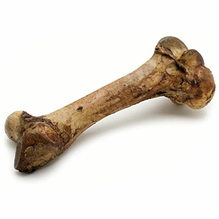 Прикол фото кость American Prime Cuts Mammoth Dog Bone, 2 lbs., XX-Large You can check out this gr