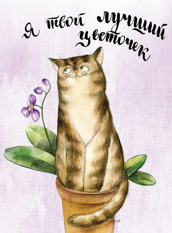 Прикольная картинка с днем кошек Main flower2 Cat facts, Childrens illustrations, Illustration