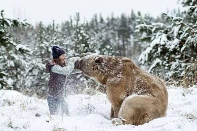 Прикольная подпись к фото с медведем Позитив вместо тысячи слов! Animals, Deadly animals, Animals beautiful