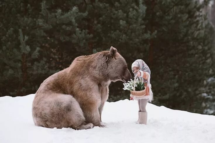 Прикольная подпись к фото с медведем Фотограф Ольга Баранцева снимает портреты с настоящими животными Animals wild, A