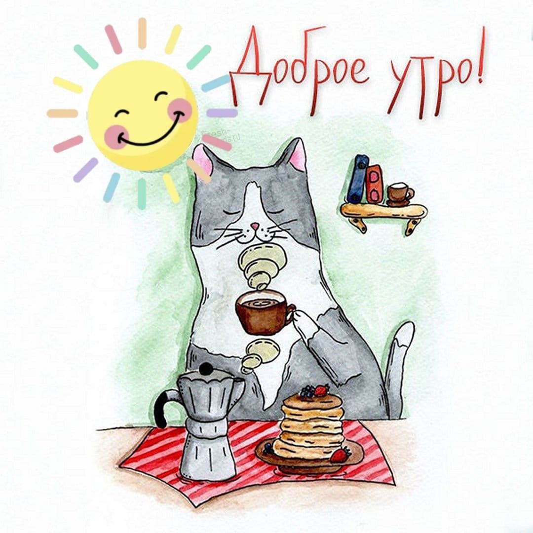 Прикольное доброе утро в картинках оригинальные Pin by Olga Malceva on Доброе утро Cats illustration, Cat drawing, Cat coffee