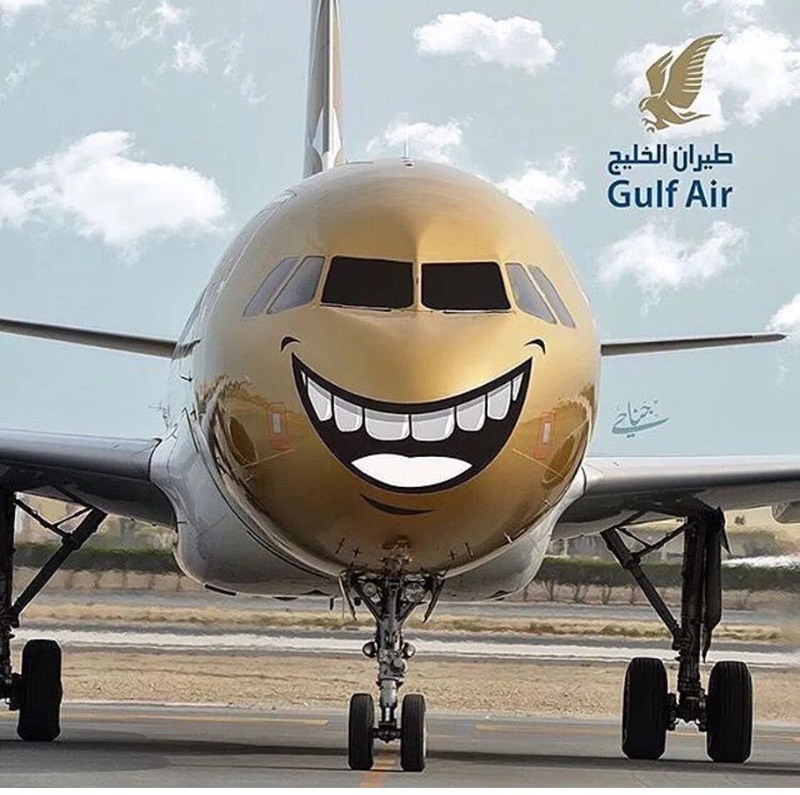 Прикольное фото самолетов Private Gold Jet Courtesy of Gulf Air #aviationhumorairports Airplane art, Comme