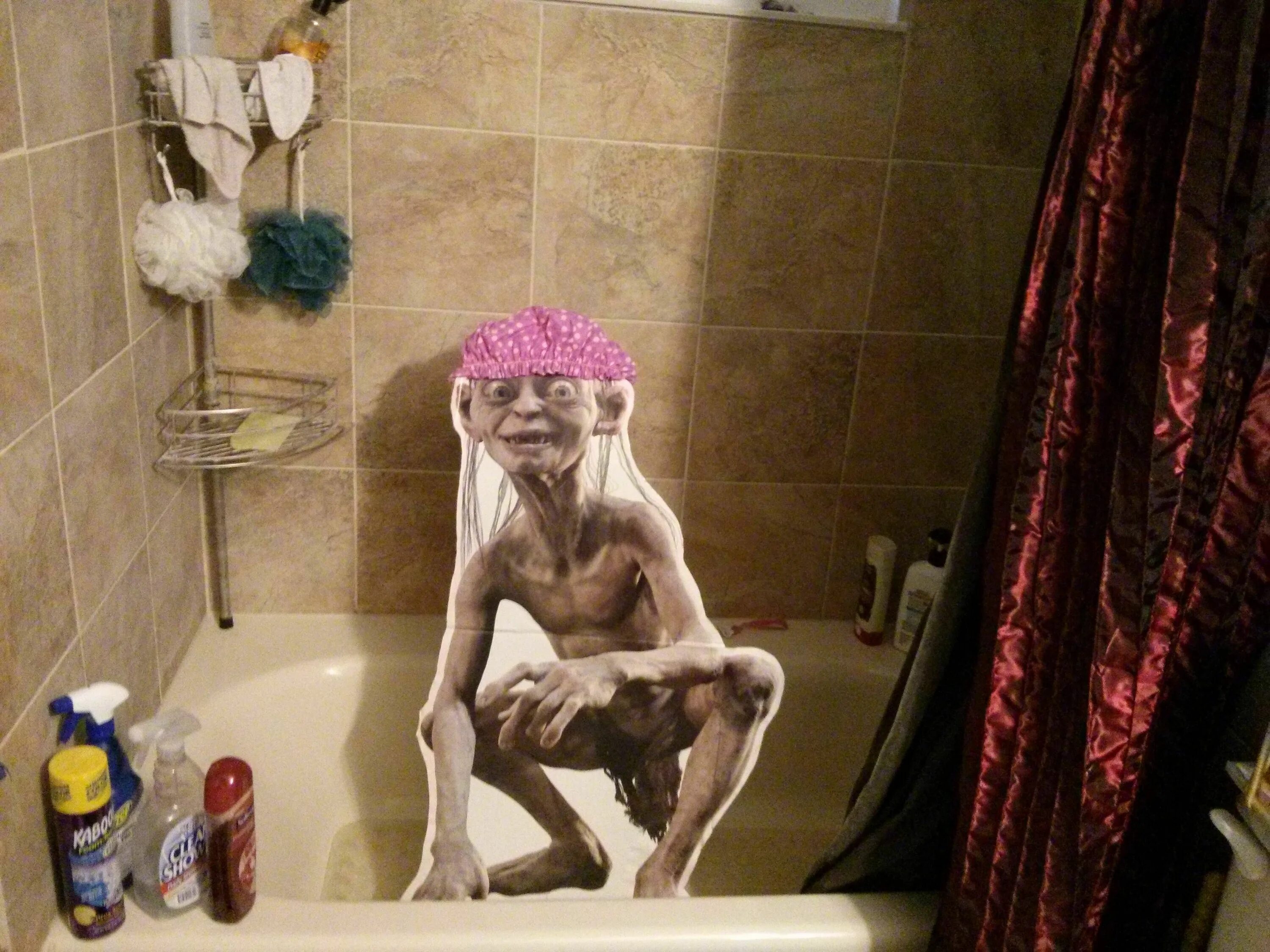 Прикольное фото в ванне I found a Smeagol cutout at a flea market. I live with two other people. Let the