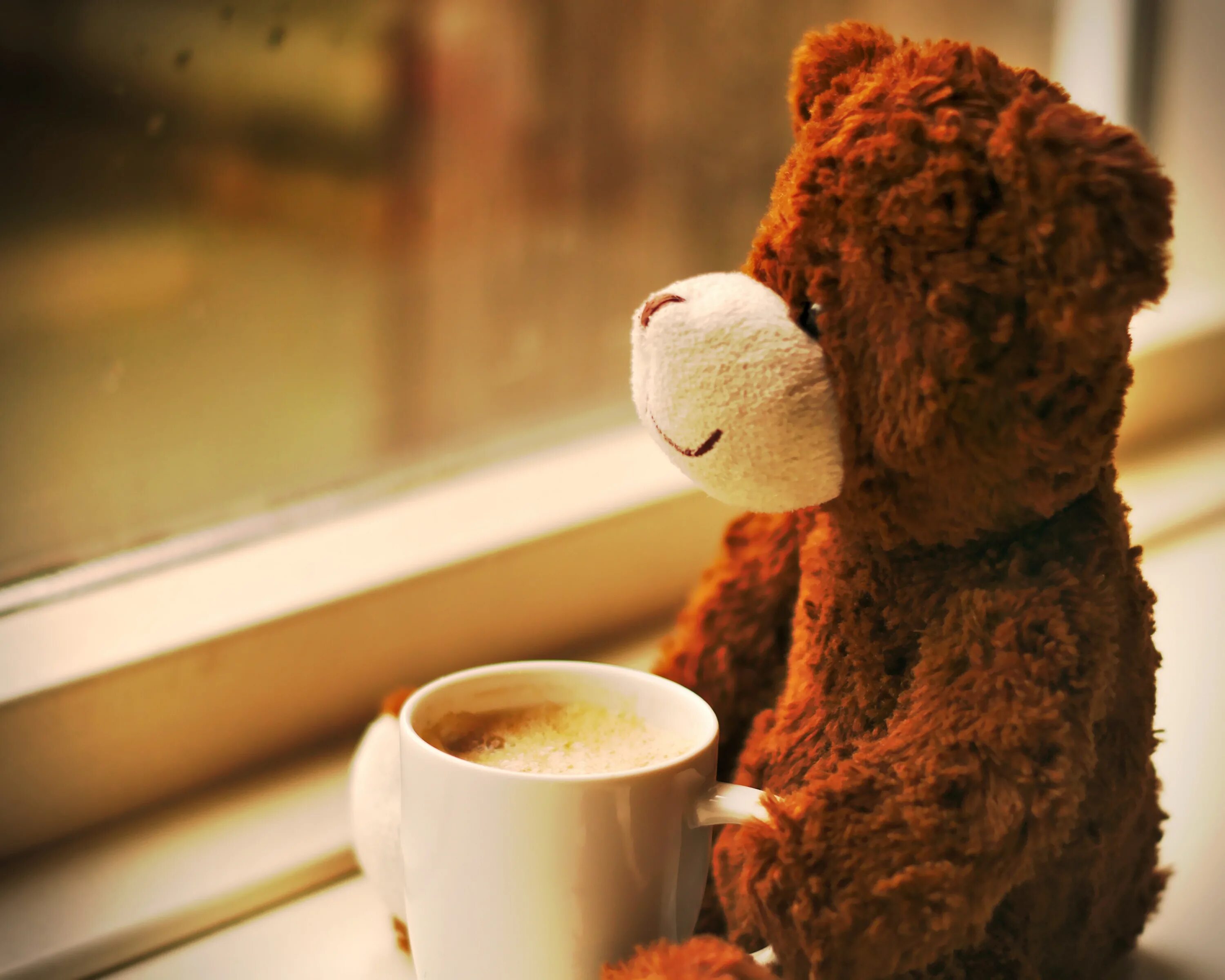 Прикольное утро картинки скачать бесплатно Morning coffee for teddy bear free image download