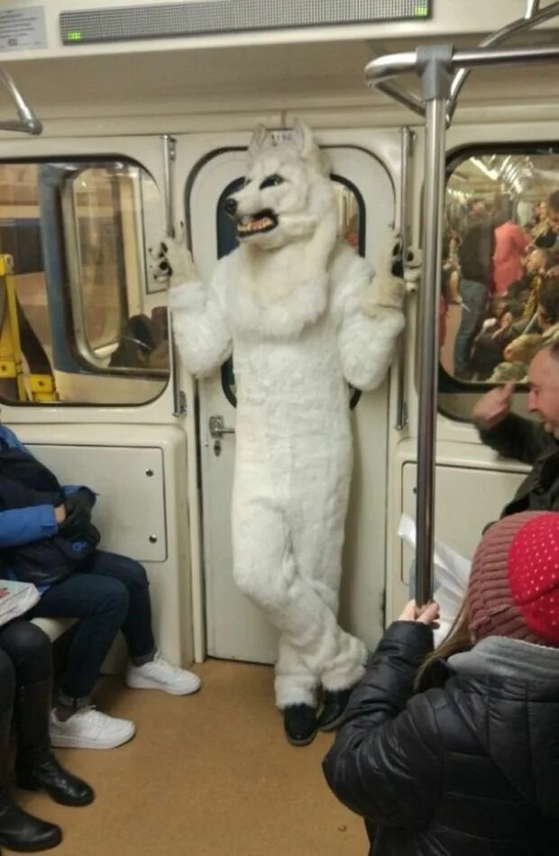 Прикольные фото метро 21 People You Don't Want to Sit Next to on the Russian Subway Subway, Meanwhile 