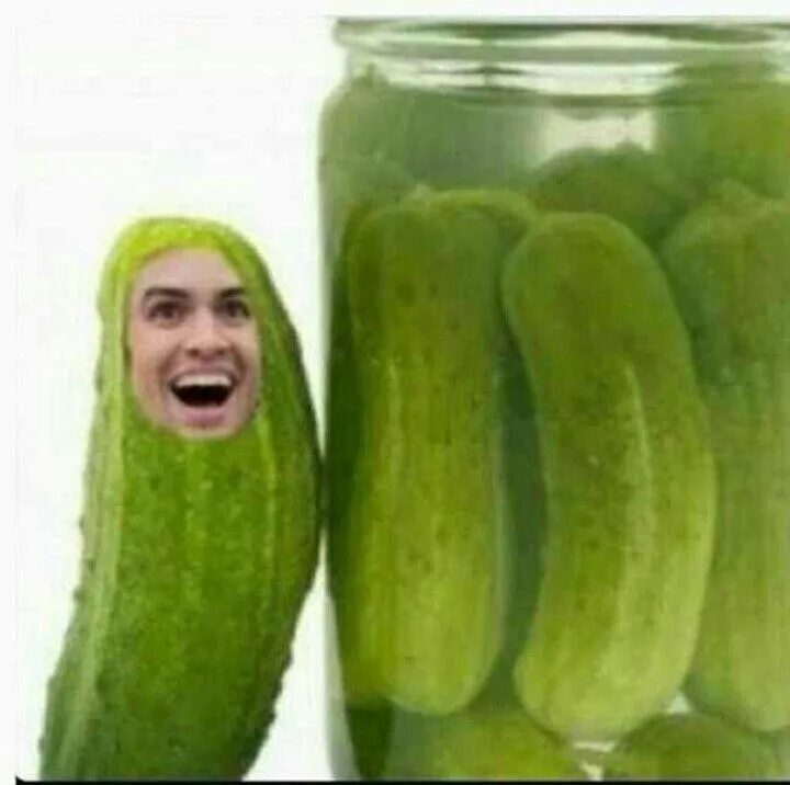 Прикольные фото огурцов This isnt photoshop!! Pickle juice uses, Pickle juice, Pickles