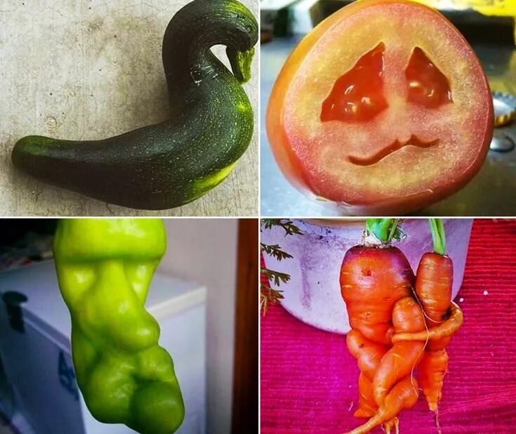 Прикольные фото овощей Pin on Фрукты-овощи Funny vegetables, Fruit and veg, Fruit