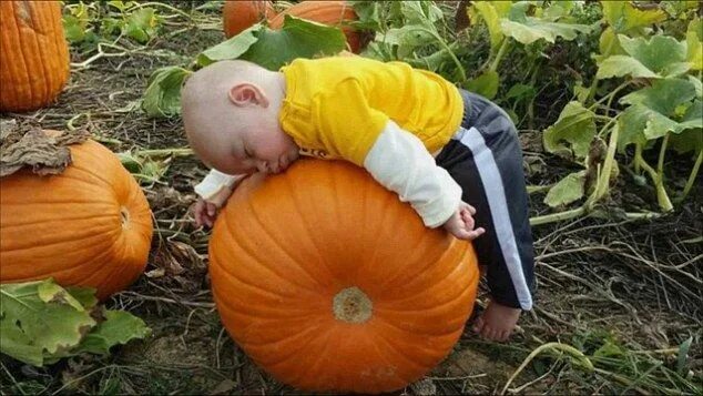 Прикольные фото с тыквой Photos capture children napping in bizarre places Kids falling, Baby in pumpkin,