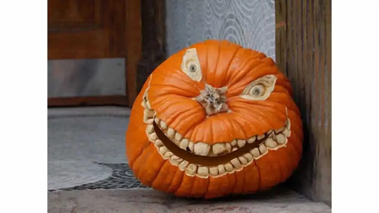 Прикольные фото с тыквой Trash Talking Pumpkin - Happy Halloween! - YouTube