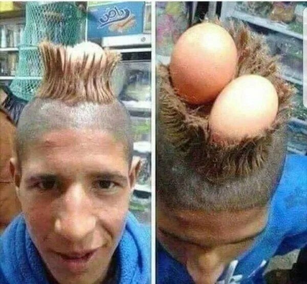 Прикольные кар прическа 35 Funny Pictures - Hairdos straight from barbershop Hell Hair humor, Hair cuts,