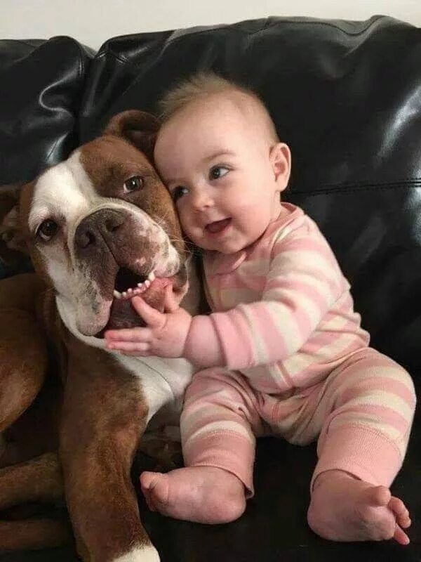 Прикольные картинки дети животные Pin by Connie Titus-Crockett on adorable animal pics Dogs and kids, Cute baby an