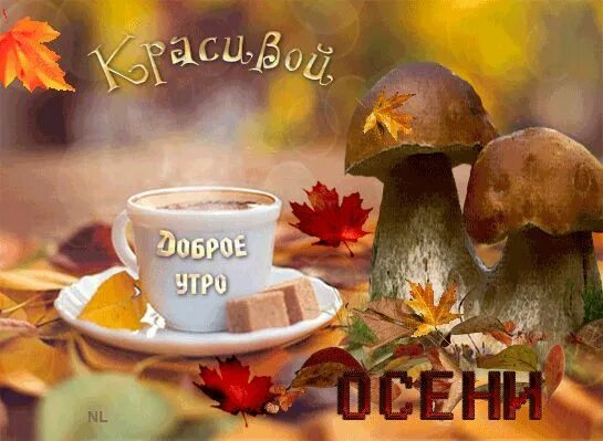 Прикольные картинки про осень и доброе утро Осеннее утречко Herbst bilder, Herbstbilder, Herbst