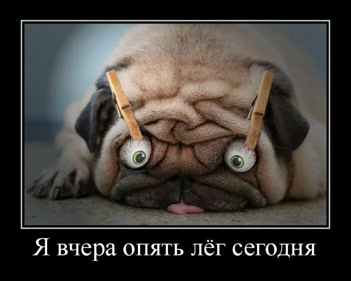 Прикольные картинки про утро и работу Смешные картинки "Подъем!" (19 фото) Funny animal comics, Funny comics, Funny st