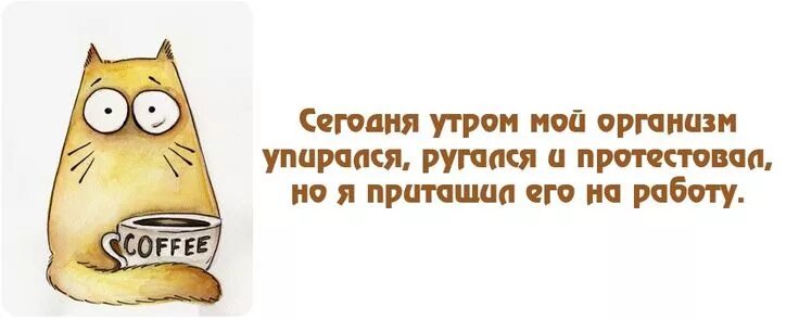 Прикольные картинки про утро и работу Прикольные картинки со смешными цитатами Смешно, Смешные цитаты, Картинки