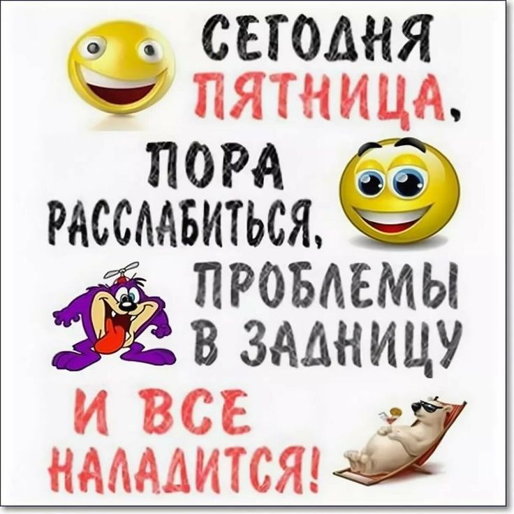 С добрым утром пятницы, прикольные и красивые картинки. Funny, Humor, Jokes