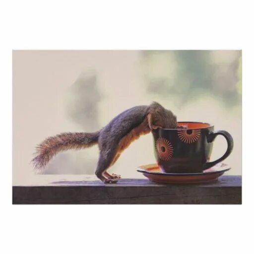 Прикольные картинки с добрым утром мотивация Squirrel and Coffee Cup Squirrel, Funny animals, Squirrel print