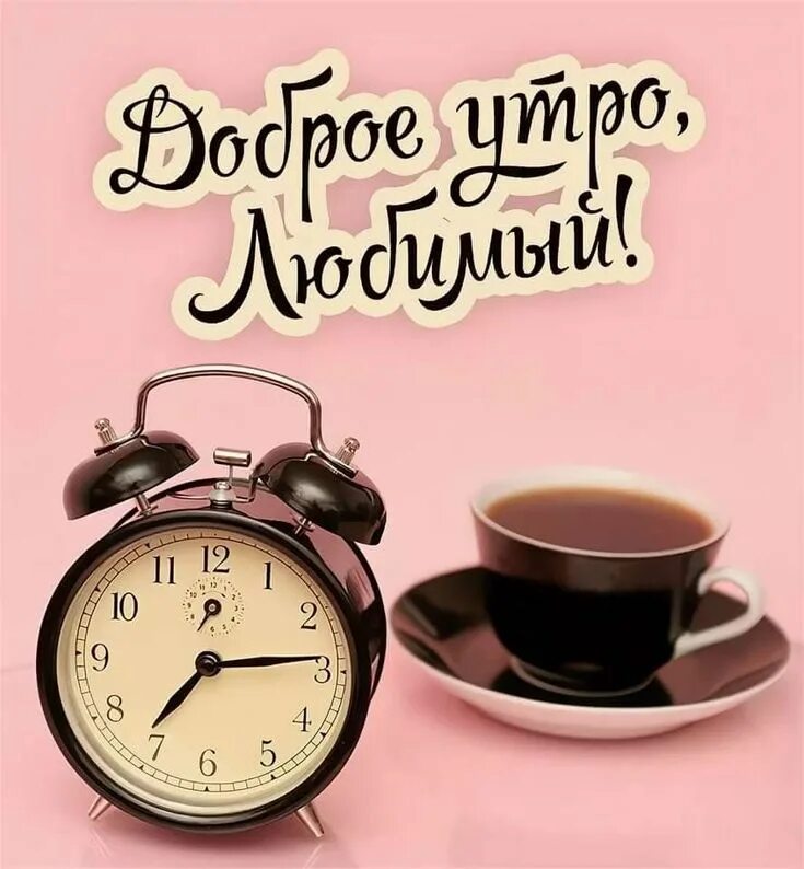 Прикольные картинки с добрым утром парню любимому Pin su Greeting of the day