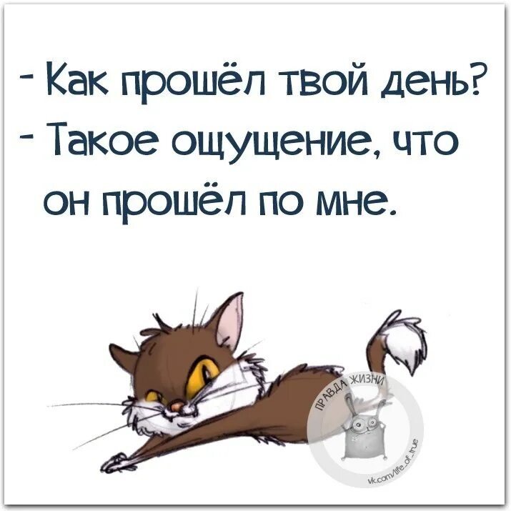 Прикольные картинки с концом рабочего дня Правда Жизни - 4 октября 2020 в 19:28