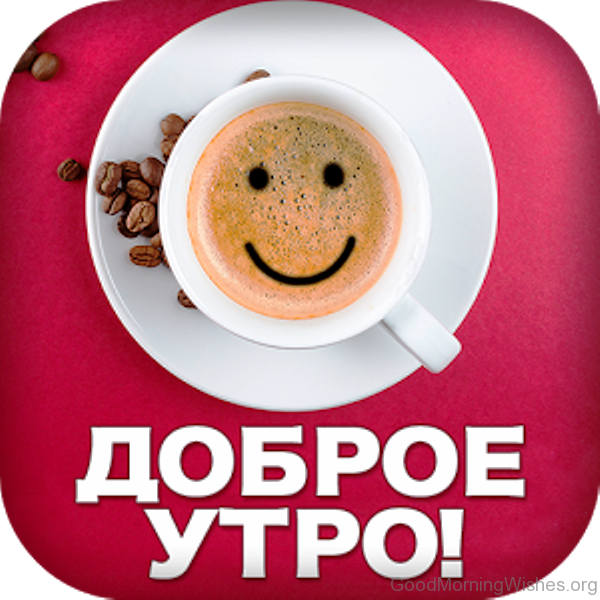 Прикольные картинки со словами доброе утро Включи отличный день