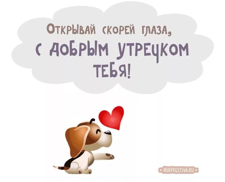 Прикольные картинки утро с любимым Pin on Смешной юмор Good morning happy weekend, Monday greetings, Inspirational 