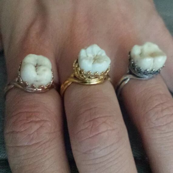 Прикольные кольца фото Sweet Tooth Ring Tooth ring, Jewelry, Tooth fairy