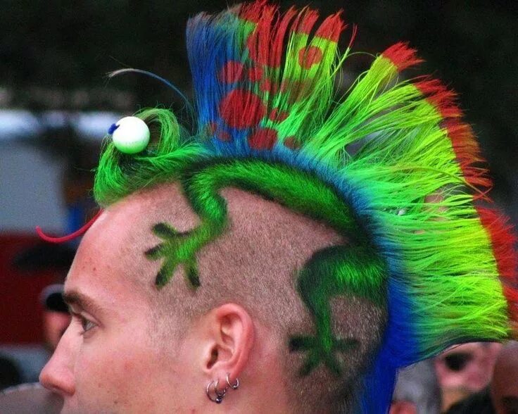 Прикольные прически 16 of the Most Wild Hairstyles Ever (Literally)! Hair humor, Lizard haircut, Wac