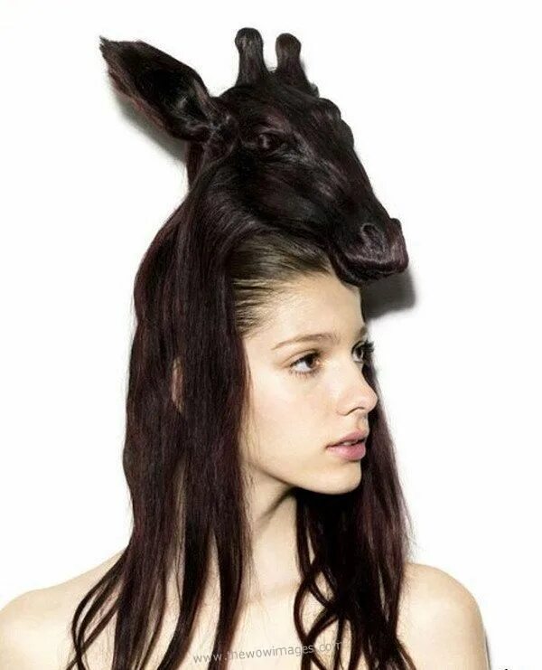 Прикольные прически на длинные волосы A head on her head Hair humor, Hair styles, Funky hairstyles for long hair