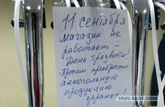 Прикольные смешные картинки с днем трезвости 11 сентября - Всероссийский день трезвости - ЯПлакалъ