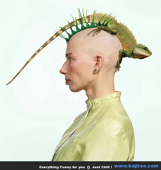 Прикольные стрижки на средние волосы Most Funny and Strange People in The World You Never Seen (90 Photos) Crazy hair