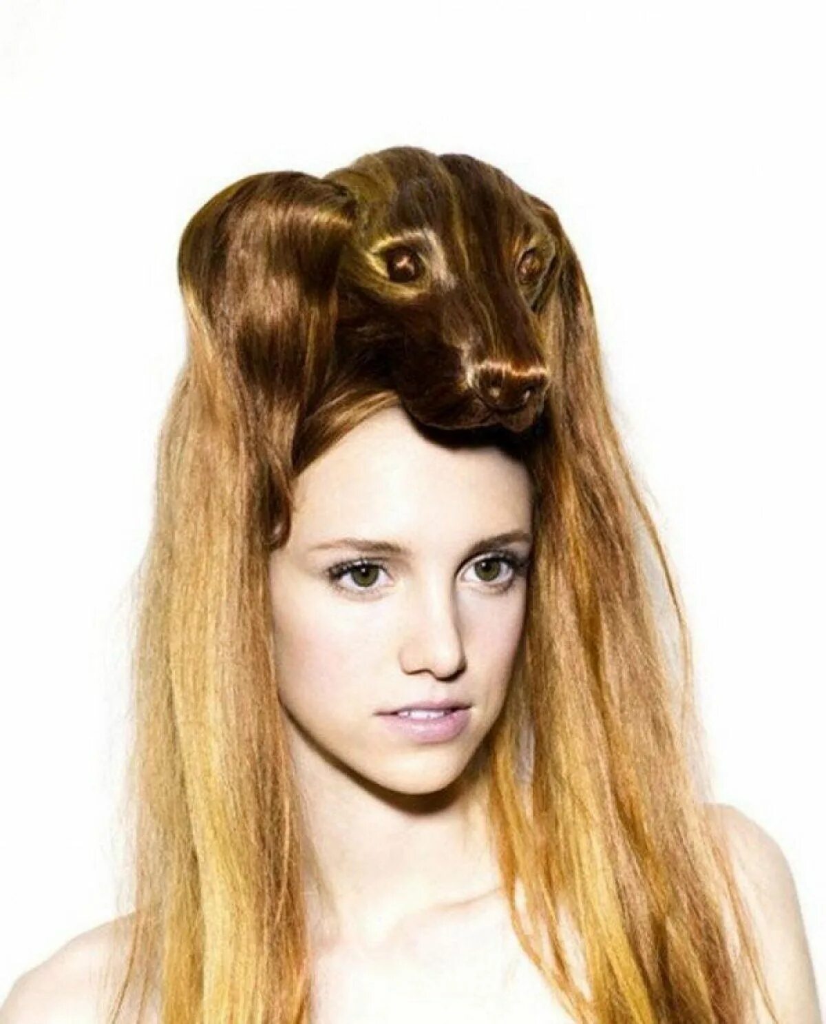 Прикольные женские прически Peinado de perro Fancy hairstyles, Cool hairstyles, Womens hairstyles