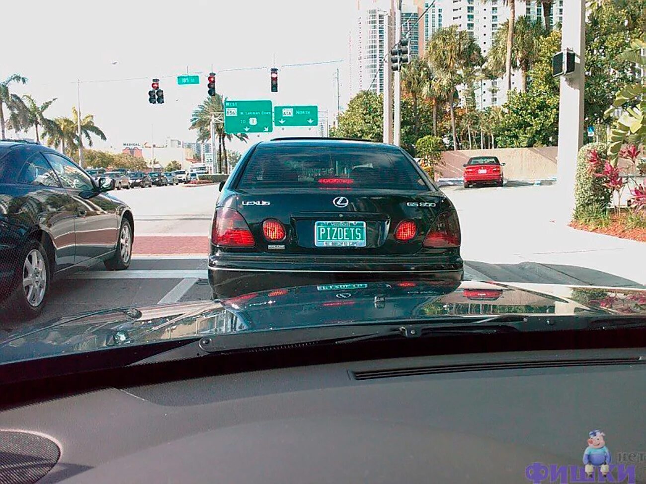 Прикольный номер фото Russian number plates in America - an epidemic (PHOTOS) - Russia Beyond