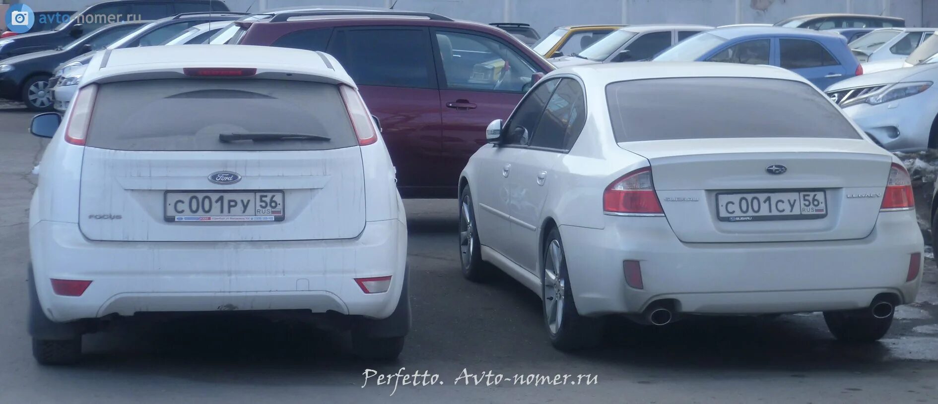 Прикольный номер фото "с 001 ру 56" фото Ford Focus. Россия