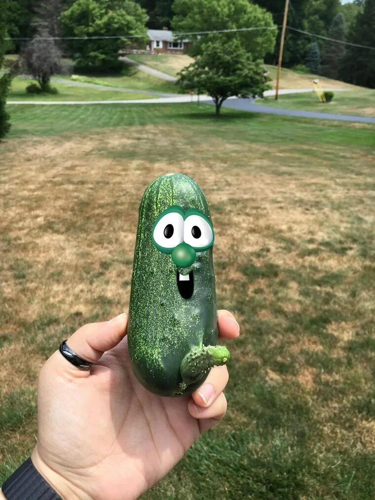 Прикольный огурец фото Picked this cucumber this morning. Then I added the face. - Imgur