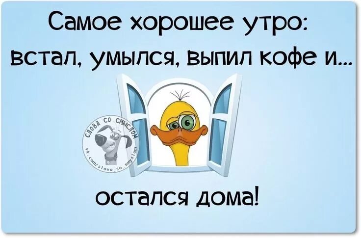 Приколы картинки доброе утро прикольные Pin on Мотиваторы Jokes, Humor, Words