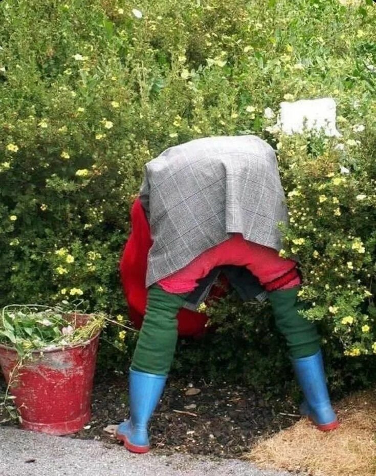 Приколы на даче фото Pin on Garden people Scarecrows for garden, Diy garden furniture, Garden whimsy