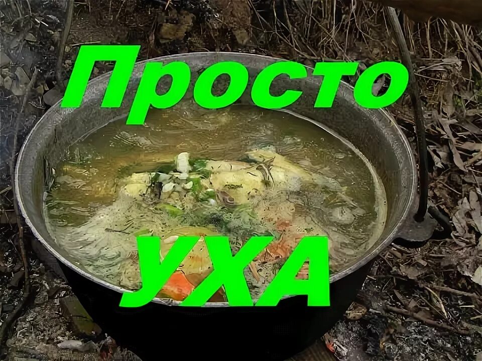 Приколы уха фото УХА рецепт от канала (Дневник рыболова) - YouTube