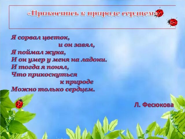 Прикоснись к природе сердцем фото Презентация экологического проекта с детьми старшего дошкольного возраста "Прико