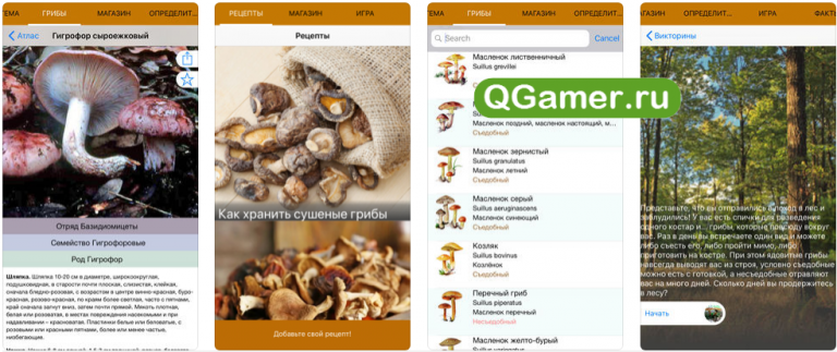 Приложение для распознавания грибов по фото Приложения для грибников на iPhone: лучшее на Айфон