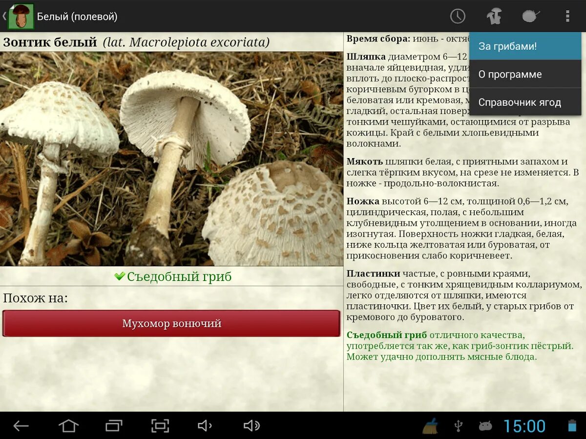 Приложение фото грибов За грибами по-научному: полезные приложения для рыболовов и любителей "тихой охо