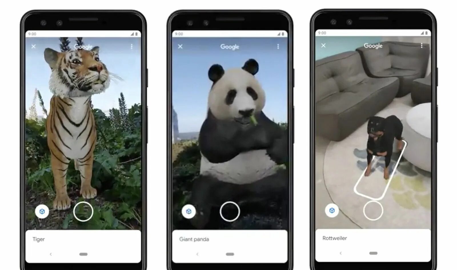 Приложение фото животные Google puts augmented reality animals in its Search app Augmented reality, Anima