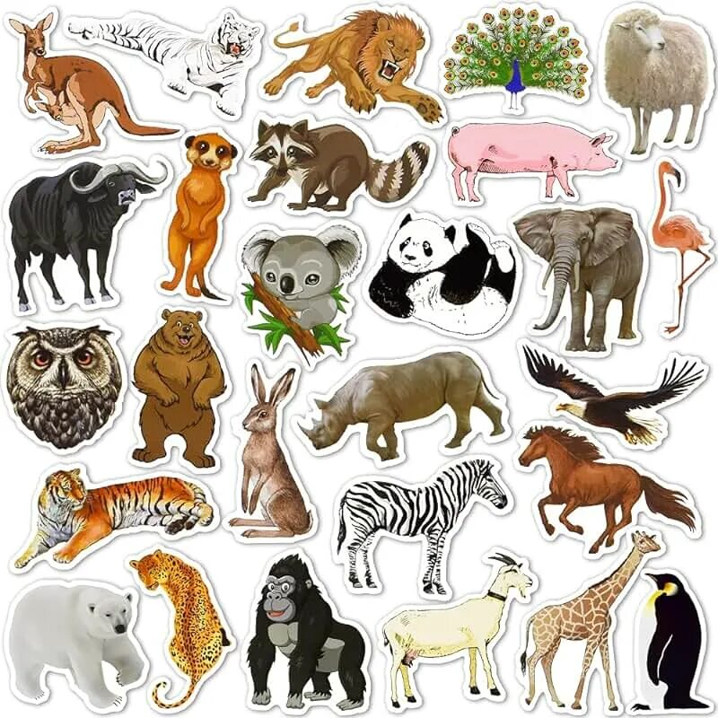 Приложение картинки животных Amazon.com: Large Animal Stickers