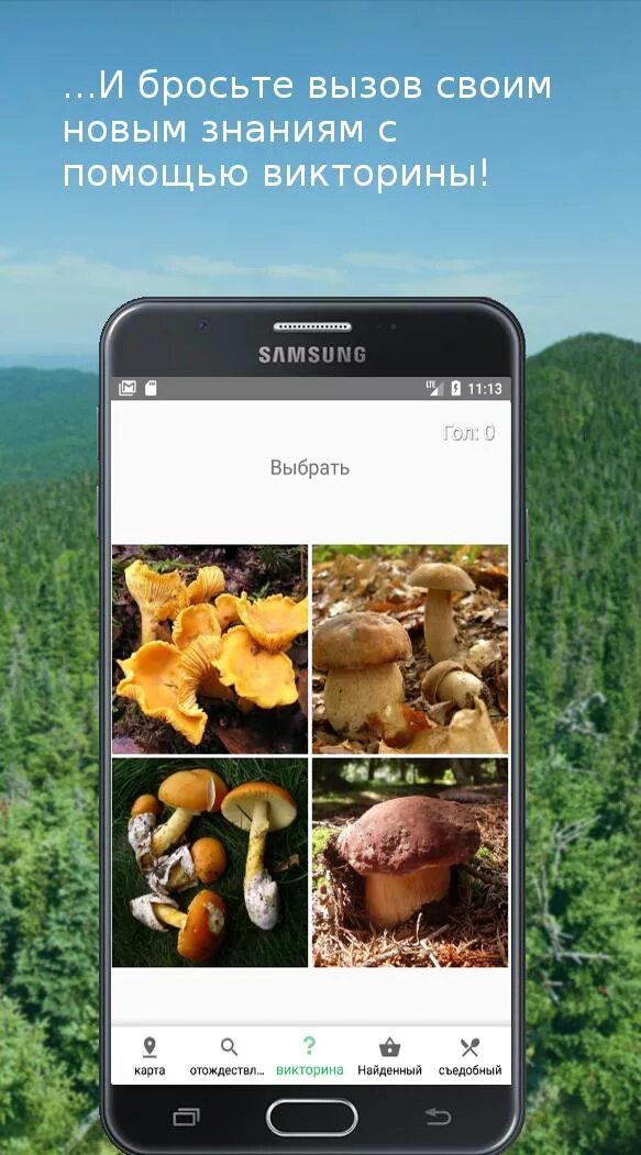 Приложение определяющие грибы по фото Скачать Mushroom Identify (признать гр APK для Android