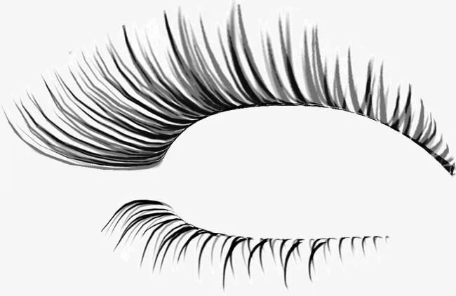 Приложение ресницы для фото Thick Eyelashes Thin Holiday, Thick, Slim, Fake Eyelashes PNG Transparent Image 