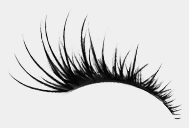 Приложение ресницы для фото Eyelash Sticker - Transparent Eye Lash Clipart, Cliparts & Cartoons - Jing.fm Ey