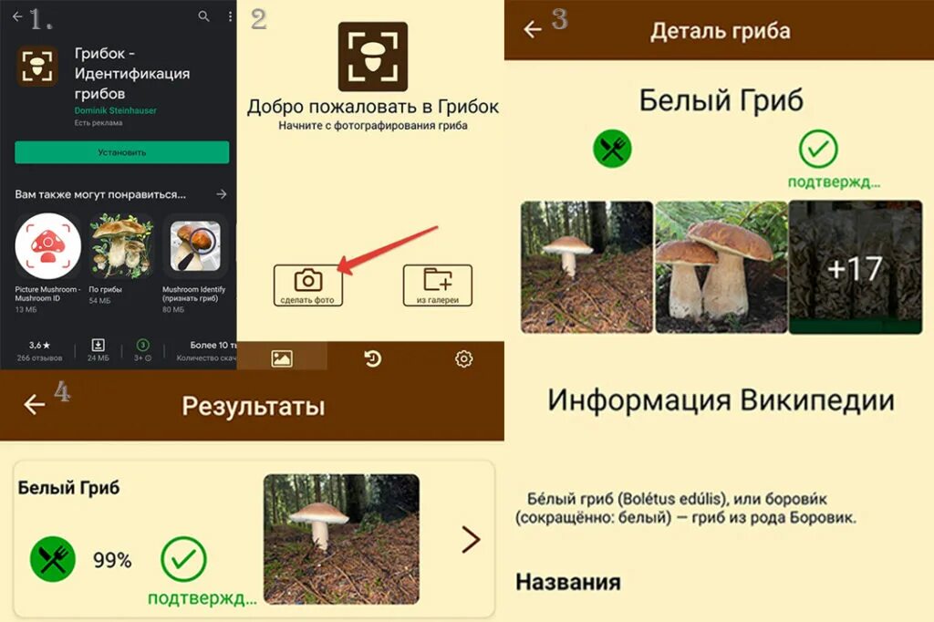 Приложения для определения гриба по фото Как определить гриб по фото онлайн совершенно бесплатно: обзор лучших способов