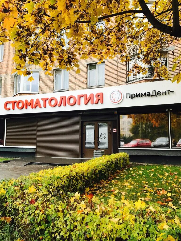 Примадент октябрьский просп 5 петрозаводск фото PrimaDENT+, dental clinics, Russia, Petrozavodsk, Oktyabrskiy prospekt, 5 - Yand