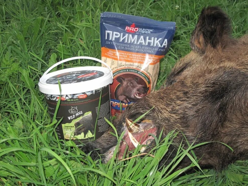 Приманка для кабана своими руками Купить Ароматическая приманка PRO HUNTER на кабана, медведя, оленя, лося - 1 000