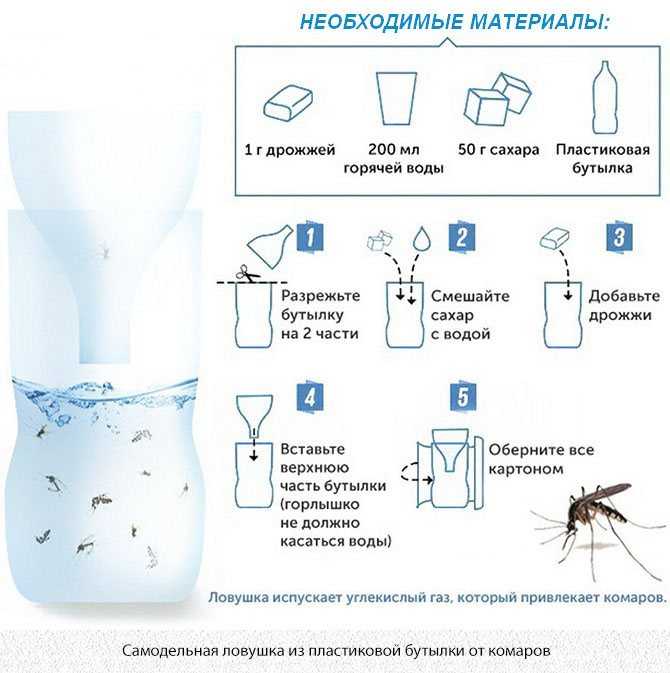 Приманка для комаров своими руками Ловушки для комаров своими руками