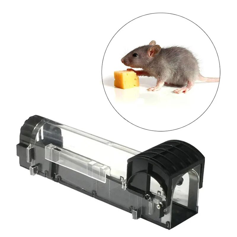 Приманка для крыс в крысоловку лучшая какая Home Rat Traps Mouse Pest Animal Mice Rodent Repeller Catch Bait Transparent Box