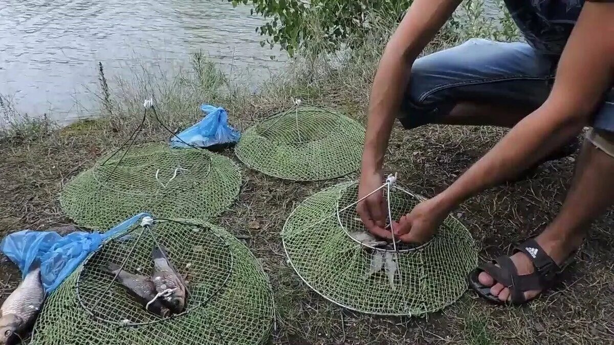 Приманка для раколовки своими руками Ловля раков. Самый простой способ, как поймать раков на раколовки. Наловят даже 